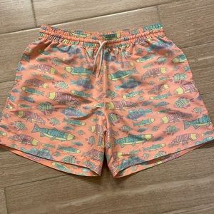 Mens Chubbies Swim Trunks